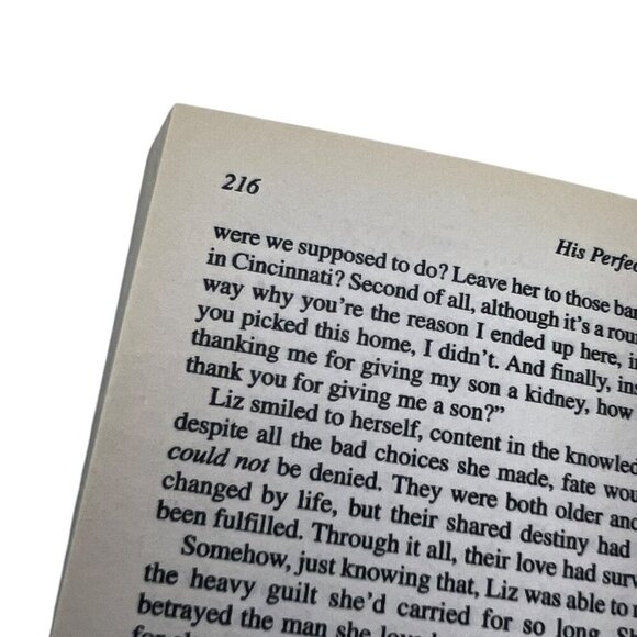 His Perfect Match By Elaine Overton 2009 Paperback Romance Novel Kimani Press - Picture 11 of 15